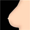 Seins solides